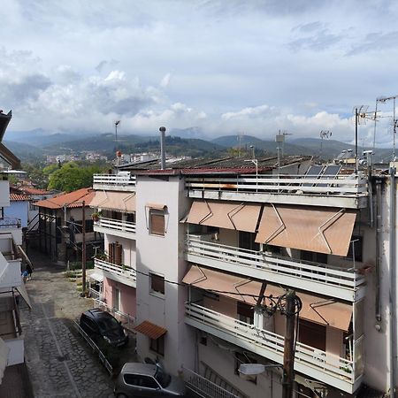 Blue Dreams Apartment Veria  Exterior photo